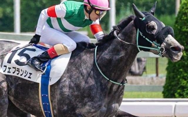 C.ルメール騎手が地方所属馬での中央重賞初制覇なるか 根岸Sでフェブランシェと再タッグ