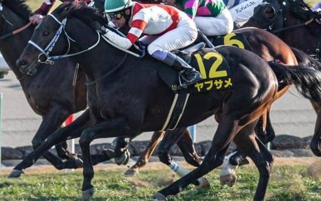 【シルクロードS】武豊騎手が9年ぶり3勝目なるか 淀短距離S覇者のヤブサメで参戦