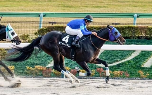 【根岸S予想オッズ】ウェイワードアクトが予想1番人気