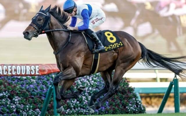 【シルクロードS予想オッズ】ロードフォアエースが予想1番人気