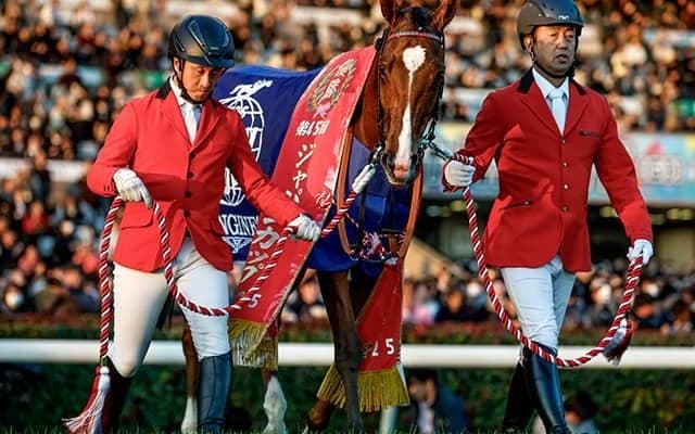 【JRA賞】特別賞受賞のカランダガン アガ・カーン・スタッズのザラ王女「大変な名誉」