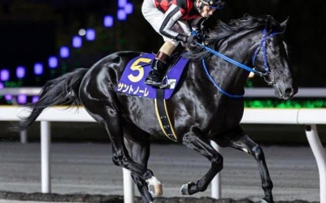 【根岸S】横山典弘騎手が地方所属馬で中央重賞初参戦 大井のサントノーレと初タッグだ