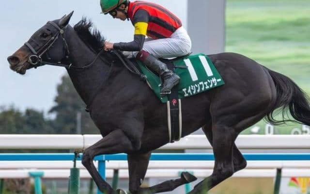 【シルクロードS】前年覇者のエイシンフェンサー 史上2頭目の連覇なるか