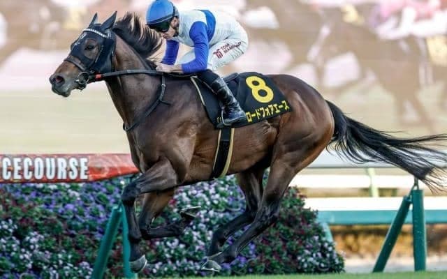 【シルクロードS出走馬・騎手確定】ロードフォアエース＆岩田望来騎手、ヤブサメ＆武豊騎手など18頭