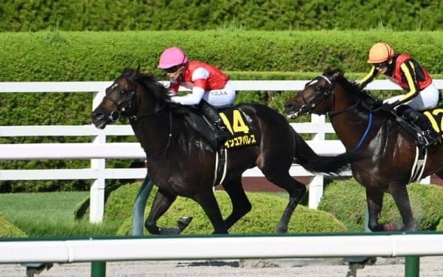 【根岸S出走馬・騎手確定】インユアパレス＆川田将雅騎手、エンペラーワケア＆西村淳也騎手など16頭