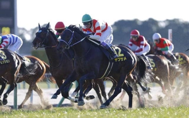 【武豊日記】“切れ味”の良い走り