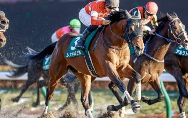 芝ダート両路線で一線級の産駒を輩出 ロードカナロア産駒のJRAダート重賞初制覇となった21年根岸S