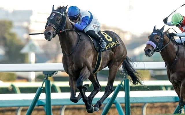 【シルクロードS枠順確定】ロードフォアエースは8枠16番、ヤブサメは6枠11番