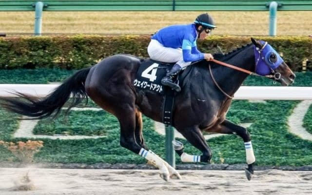 【根岸S枠順確定】ウェイワードアクトは1枠1番、インユアパレスは4枠8番