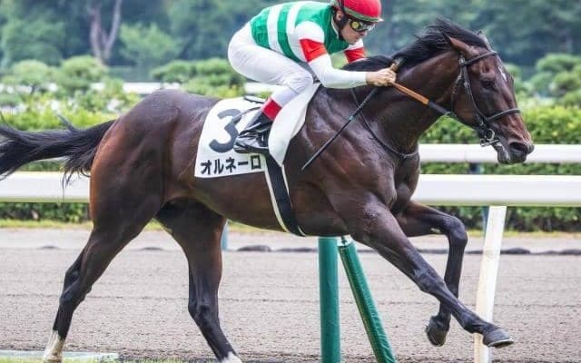 【クロッカスS】半姉は2歳女王のダノンファンタジー オルネーロがオープン初勝利なるか