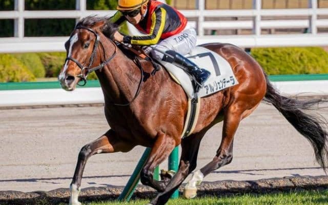 母は名牝ジェンティルドンナ アルジェンテーラが初勝利なるか