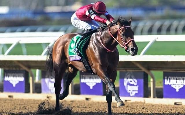 今週末は「フォーエバーヤング ブリーダーズカップクラシック優勝記念 根岸ステークス」 ポストカードやレーシングプログラムの配布も