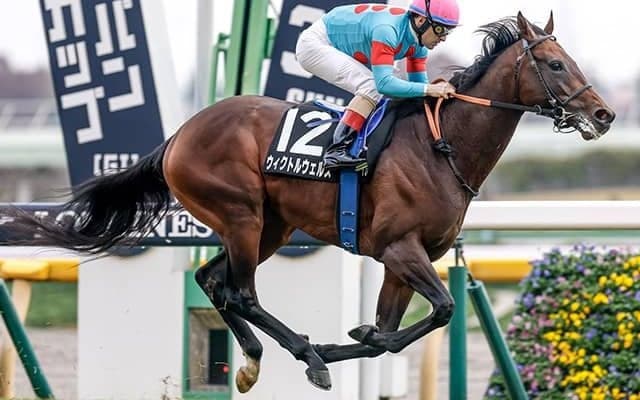 【今日の注目ポイント】開幕週東京の白富士Sでウィクトルウェルスが5連勝を狙う