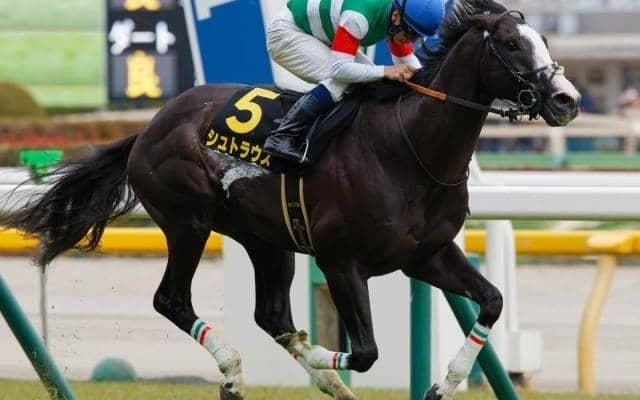 白富士Sは4歳馬に注目 現在5連勝中と好相性
