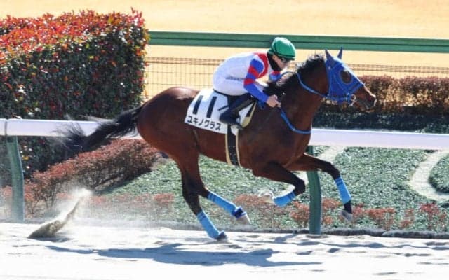 【新馬/東京4R】サンダースノー産駒 ユキノグラスがデビューV