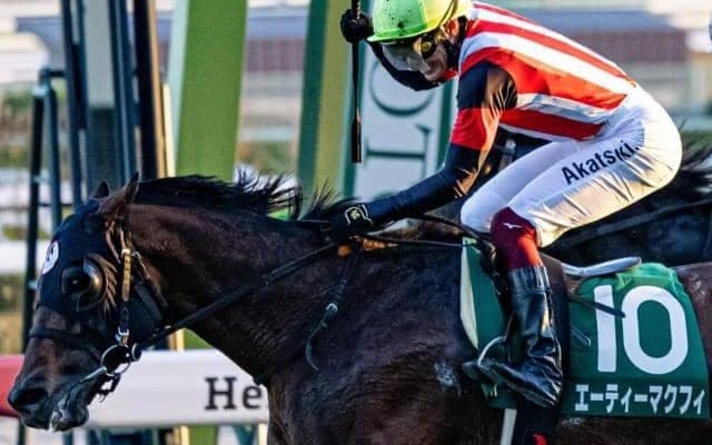 京都芝は差し優勢 好枠エーティーマクフィの重賞連勝だ