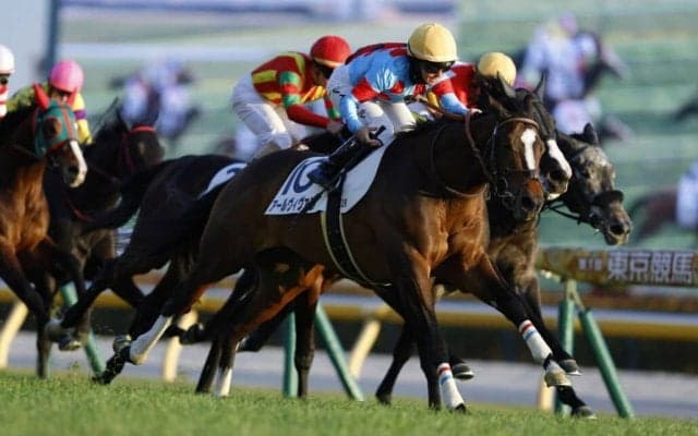 【東京12R】キング騎手騎乗アールヴィヴァンが快勝…今年6勝目をマーク