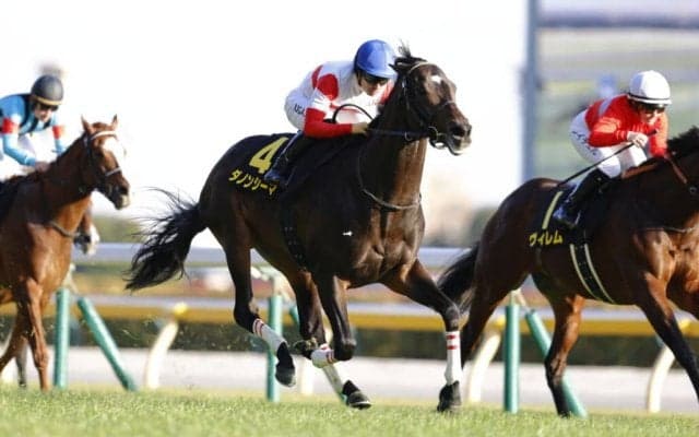 【白富士S】良血ダノンシーマがOP初勝利…4連勝中ウィクトルウェルスは3着