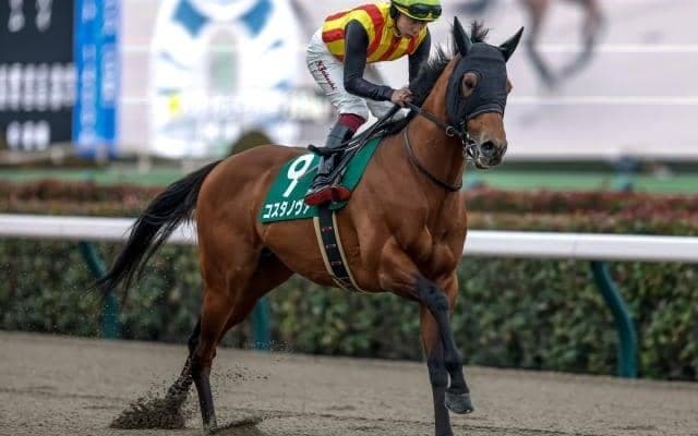 根岸Sは上位人気が堅調 7番人気以下の伏兵は2着1回、3着3回