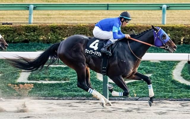 【根岸S予想】狙うのは好ポジからの上がり最速タイプ？ 過去データから探るGIII根岸S