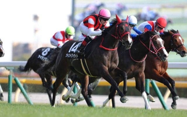 【節分S】ルメール騎乗 ウイントワイライトが鮮やかに差し切る