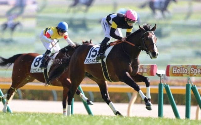 【新馬/東京5R】ロードカナロア産駒 アスクイキゴミがデビューV