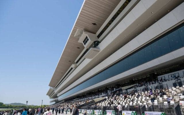 【京都6R】単勝1.5倍エブリーポッシブルが人気に応える