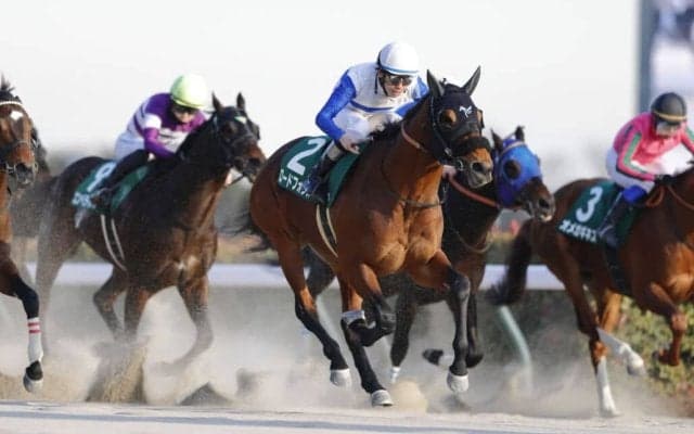 【根岸S】横山和「次も見据えて攻める競馬をした」ロードフォンスが重賞2勝目