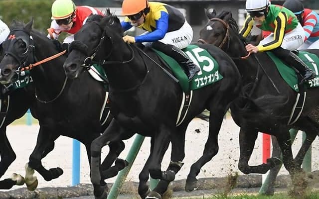 東京新聞杯ときさらぎ賞の2重賞 WIN5はキャリーオーバー/今週の競馬界の見どころ