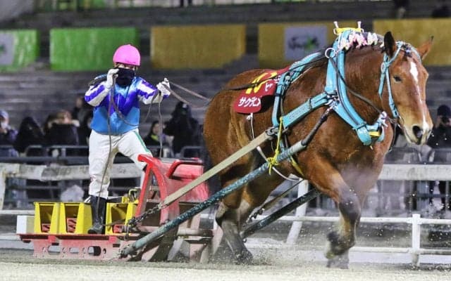ばんえい競馬史上初の女性騎手による重賞制覇…今井千尋騎手が快挙