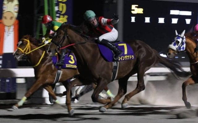 【高知・黒潮スプリンターズC】8歳の伏兵が豪脚一閃！ウインザナドゥが鮮やか差し切り