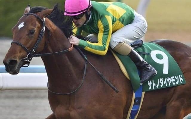 単勝1.2倍の圧倒的人気 サトノダイヤモンドが制したきさらぎ賞から10年