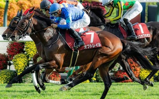 【東京新聞杯想定騎手】オフトレイルは菅原明良騎手、ブエナオンダは横山武史騎手