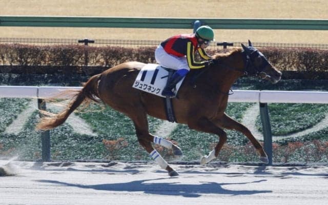【東京3R】ジュワネングが7馬身差圧勝