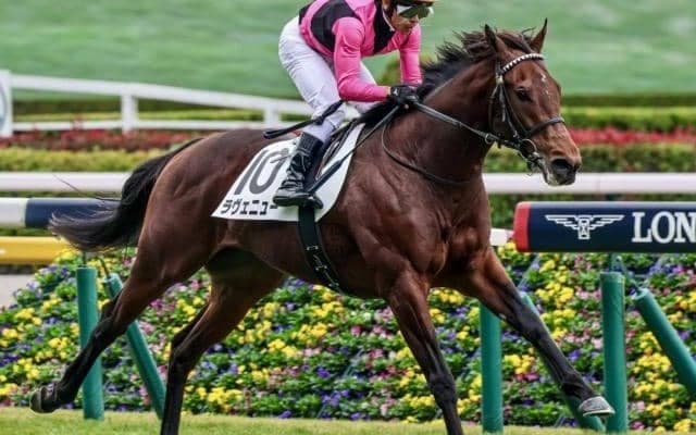 今週末で23年生まれ世代の「芝の新馬戦」が終了 今後に期待の3歳馬を紹介