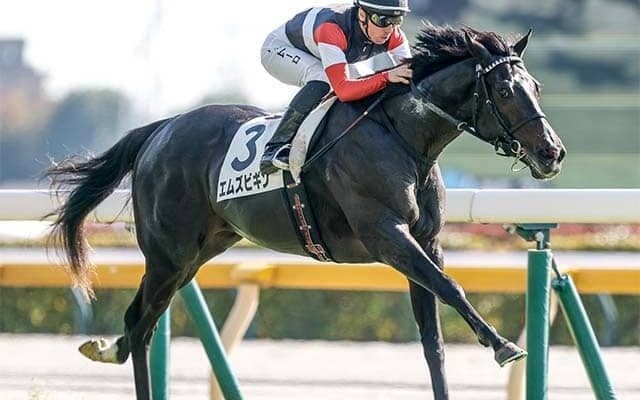 【きさらぎ賞】セレクト5.9億円のエムズビギン 史上最高額のJRA重賞勝ち馬となるか