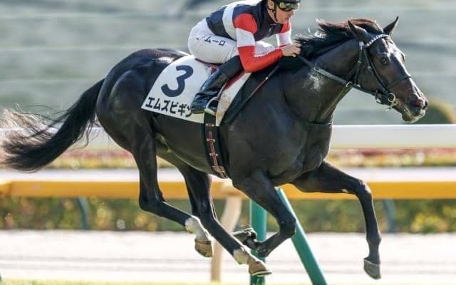 【きさらぎ賞予想オッズ】エムズビギンが予想1番人気