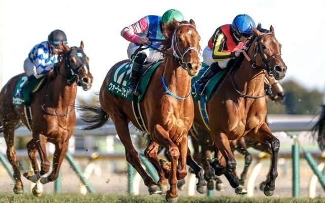 【東京新聞杯予想オッズ】ウォーターリヒトが予想1番人気