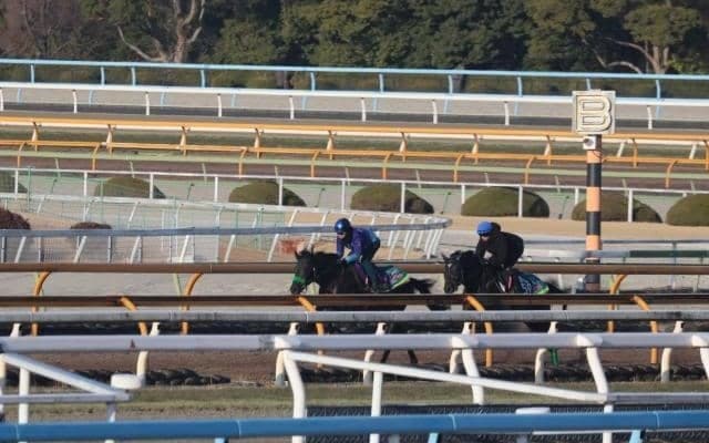 ロブチェン、共同通信杯1週前追い切り速報/栗東トレセンニュース