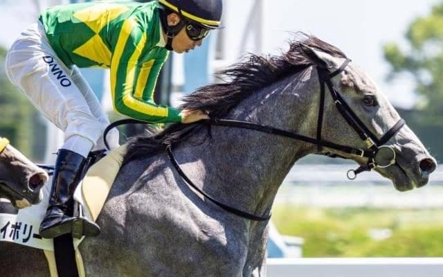【きさらぎ賞】母は名牝ホエールキャプチャ サトノアイボリーが重賞初制覇なるか