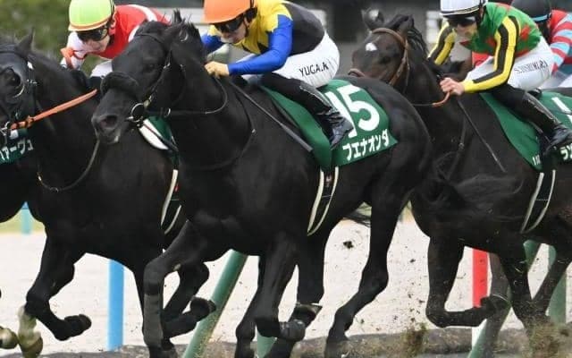 【東京新聞杯出走馬・騎手確定】ブエナオンダ＆横山武史騎手、ウォーターリヒト＆高杉吏麒騎手など16頭