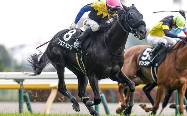 【東京新聞杯枠順確定】ブエナオンダは8枠16番、ウォーターリヒトは6枠12番