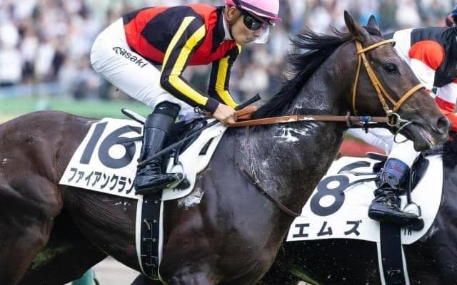 【早春S】半兄はフェブラリーS覇者のコスタノヴァ ファイアンクランツがオープン入り狙う