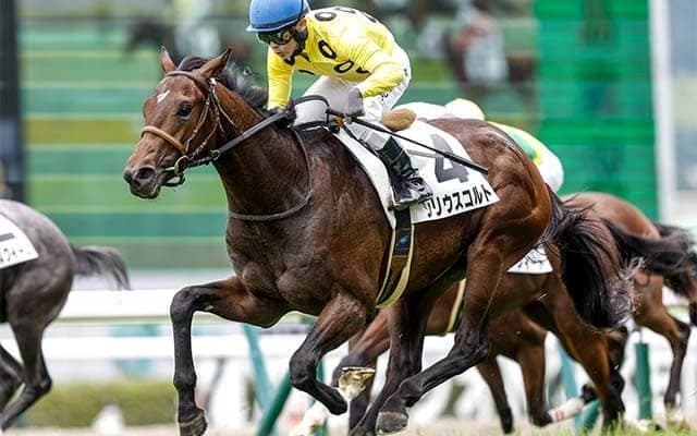 最低人気で激走した伏兵も該当 東京新聞杯で二桁人気が好走する"3つの条件"