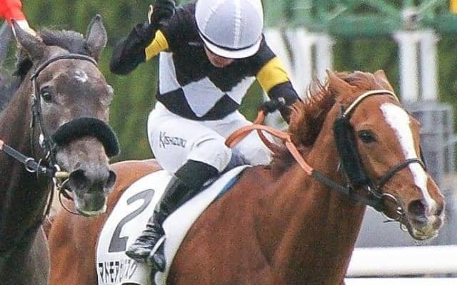 母はGI・3勝のストレイトガール マドモアゼルアスクが2勝目なるか