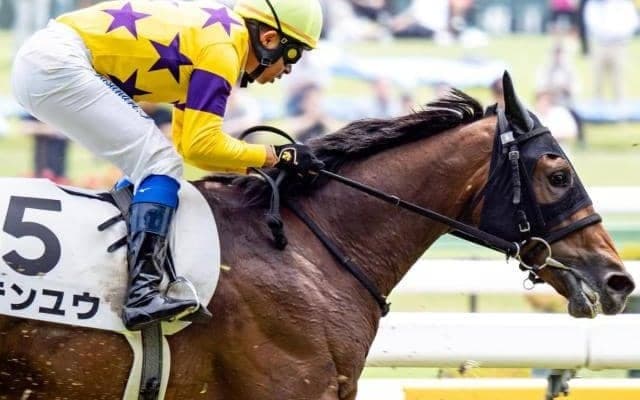 母は桜花賞馬レーヌミノル テンユウが初勝利なるか