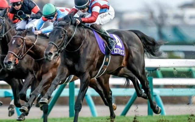 【共同通信杯想定馬・騎手】ロブチェン、ラヴェニューなど9頭