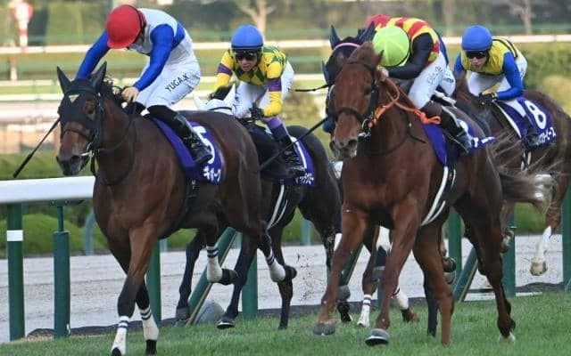 【クイーンC想定馬・騎手】ギャラボーグ、ドリームコアなど15頭