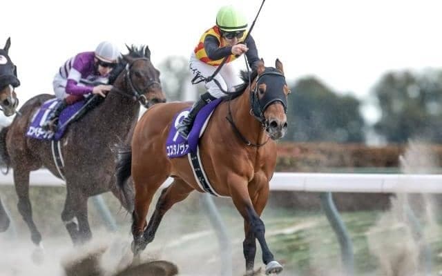 【フェブラリーS想定馬・騎手】コスタノヴァ、ダブルハートボンドなど21頭