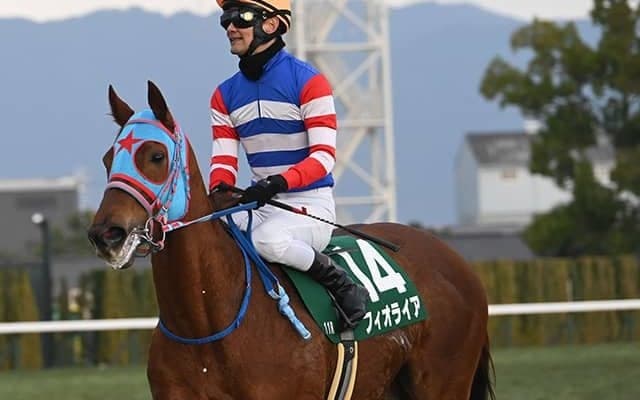 5億円超えのWIN5だけじゃない！ キャリーオーバーが今月3か所で発生中